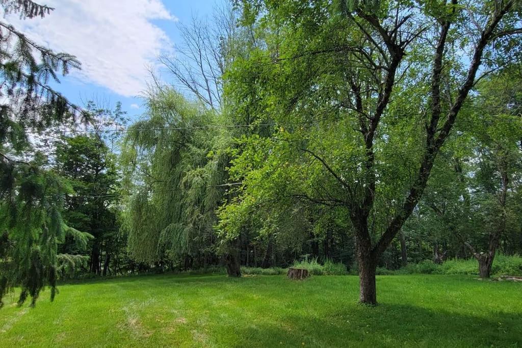 Bethel Woods Cabin Mongaup Valley Ngoại thất bức ảnh